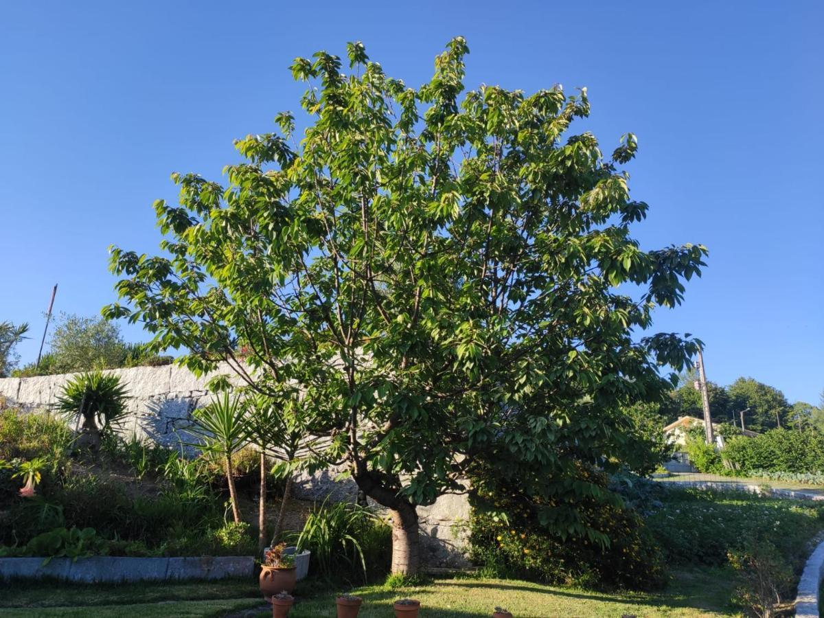 Propriedade Do Pires Guimaraes Ngoại thất bức ảnh