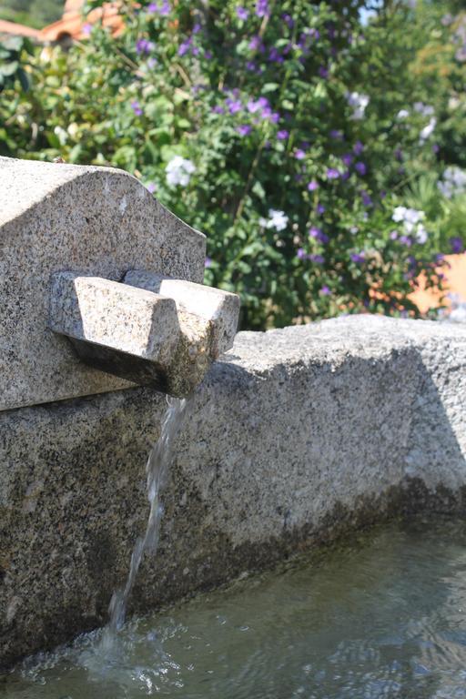 Propriedade Do Pires Guimaraes Ngoại thất bức ảnh